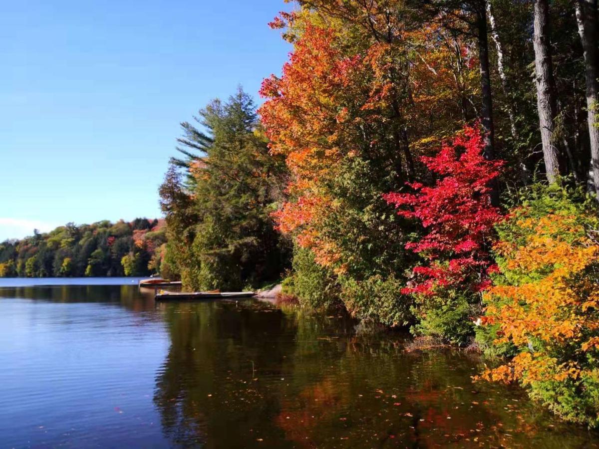 Sunny Point Resort Otter Lake Buitenkant foto